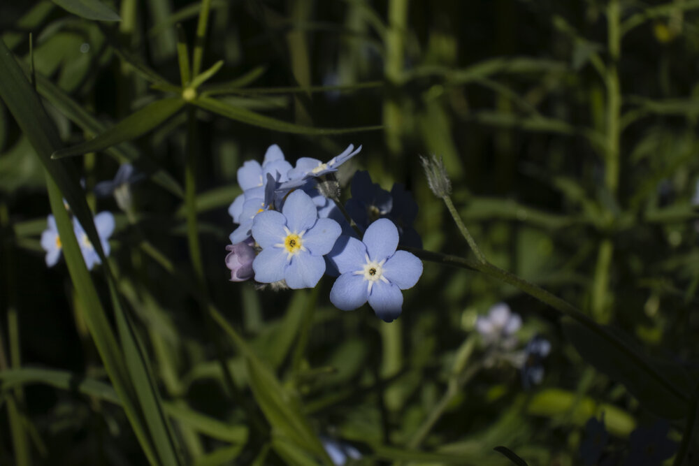 Photograph by Анна Малышева