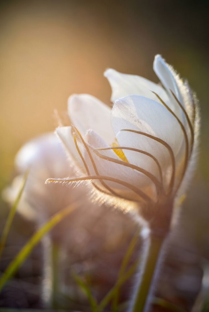 Photograph by Николай Путинцев