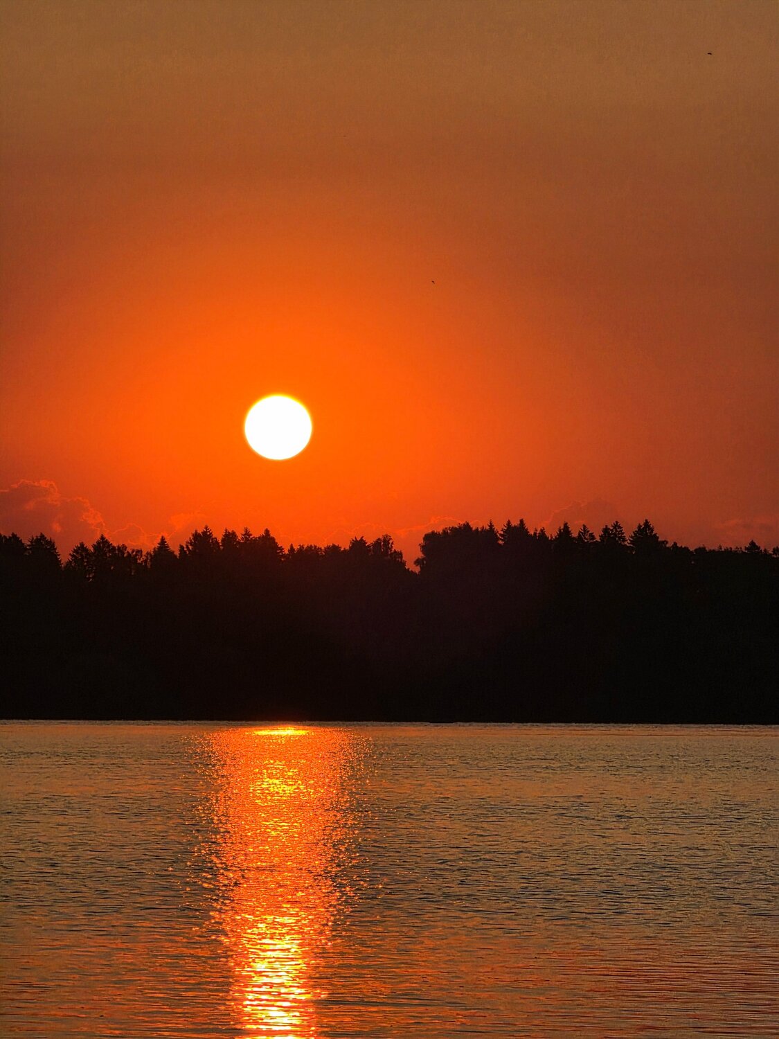 Photo #13873803