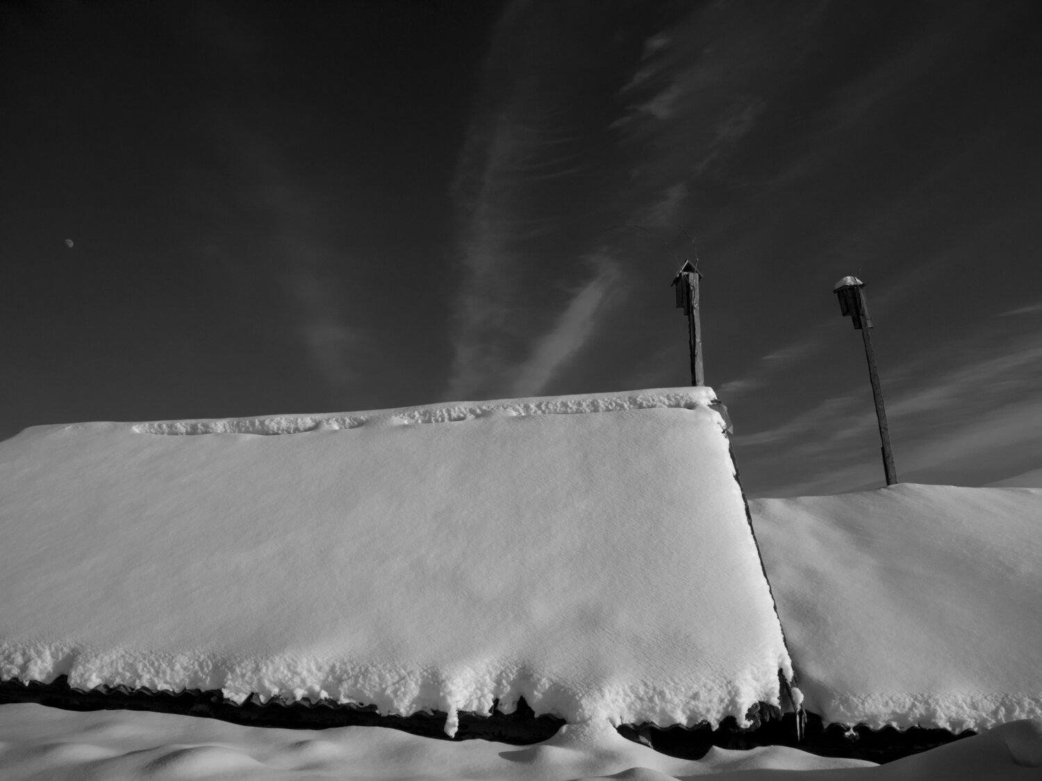 Photo #13873815