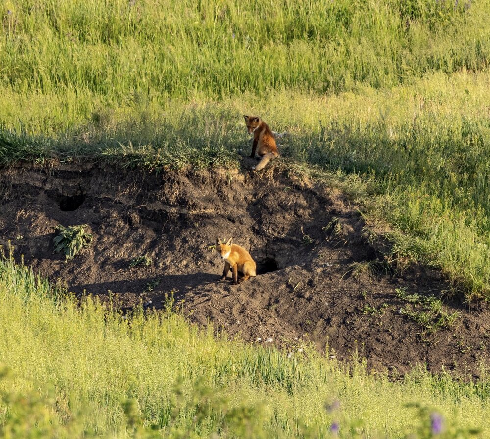Photograph by Ирина Бабич