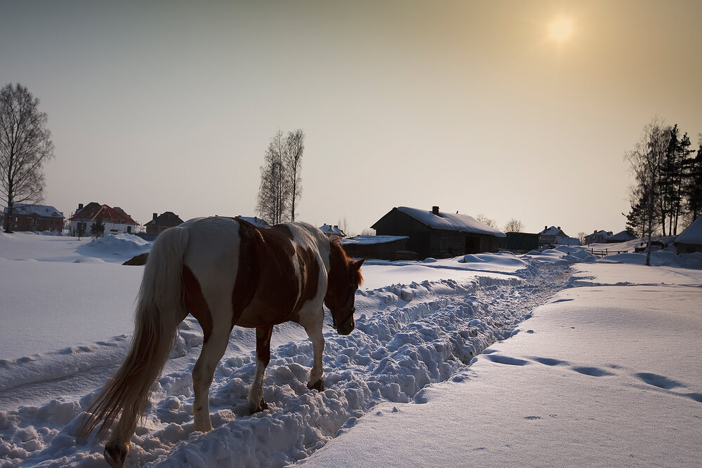 Photograph by Наталья Суслова