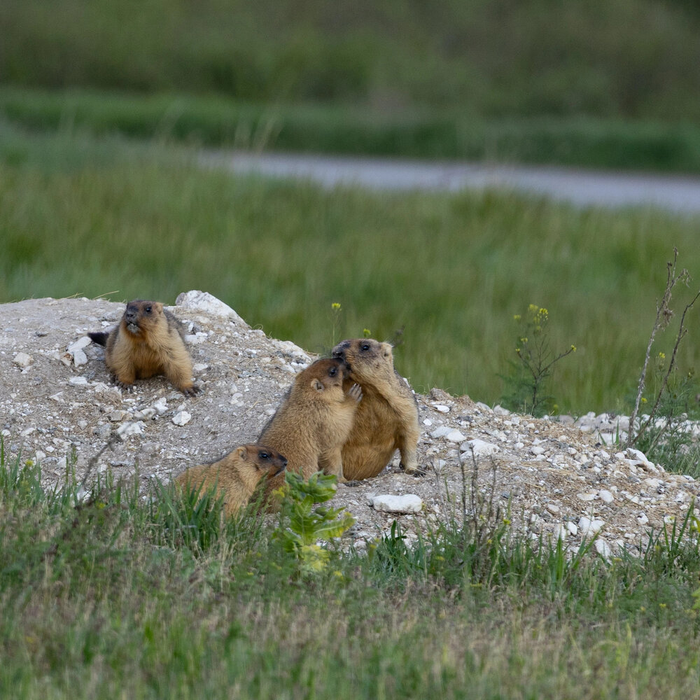 Photograph by Ирина Бабич