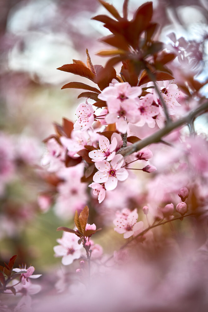 Photograph by Дмитрий Казачек