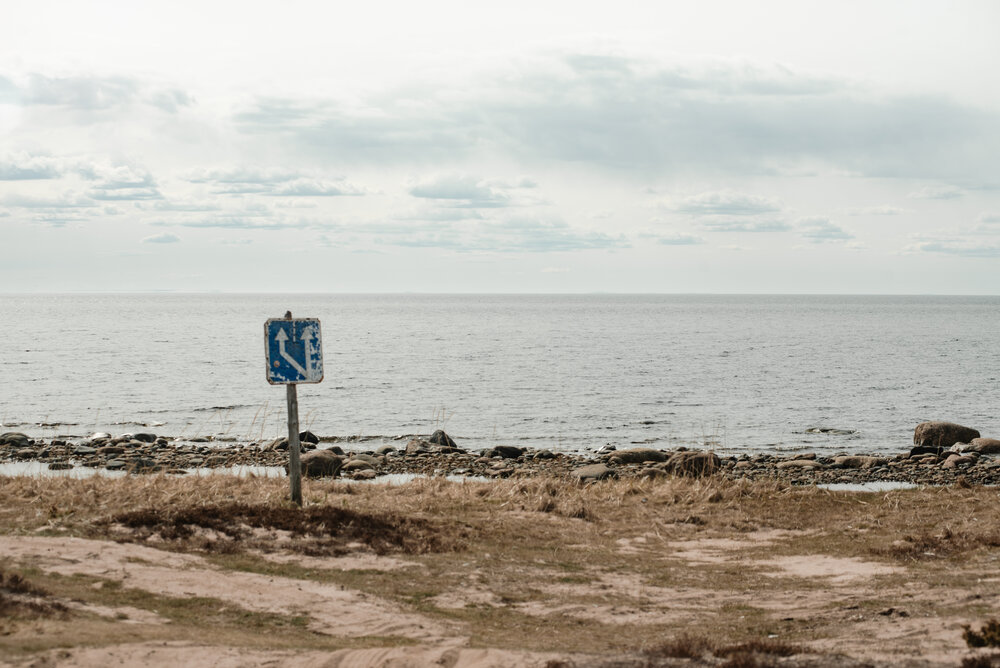 Photograph by Ксения Рябухина