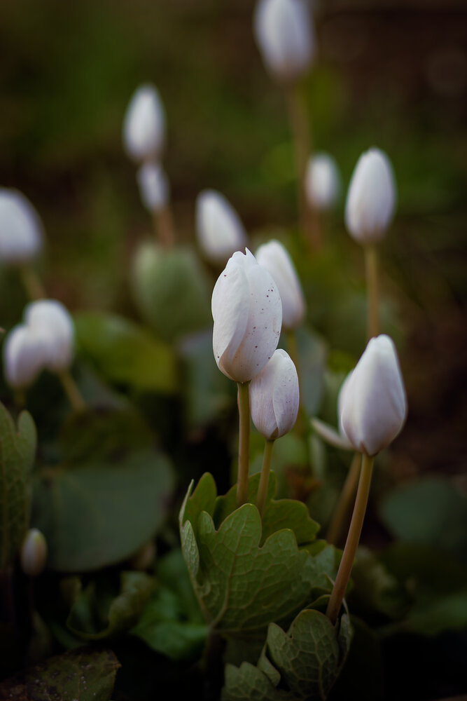 Photograph by Светлана Ващенко