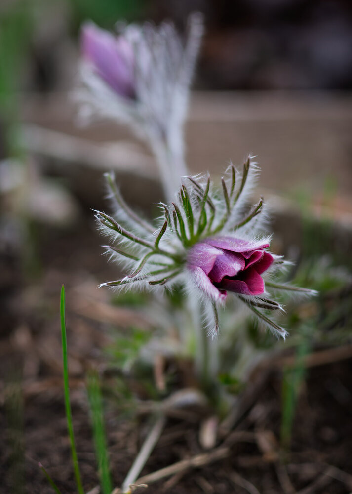 Photograph by Светлана Ващенко
