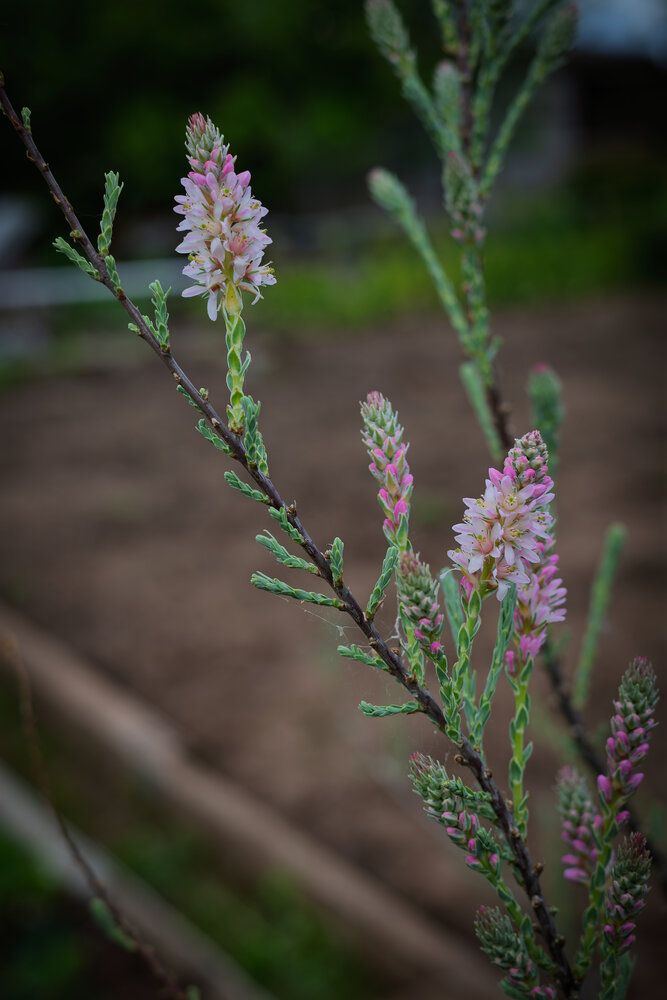 Photograph by Светлана Ващенко