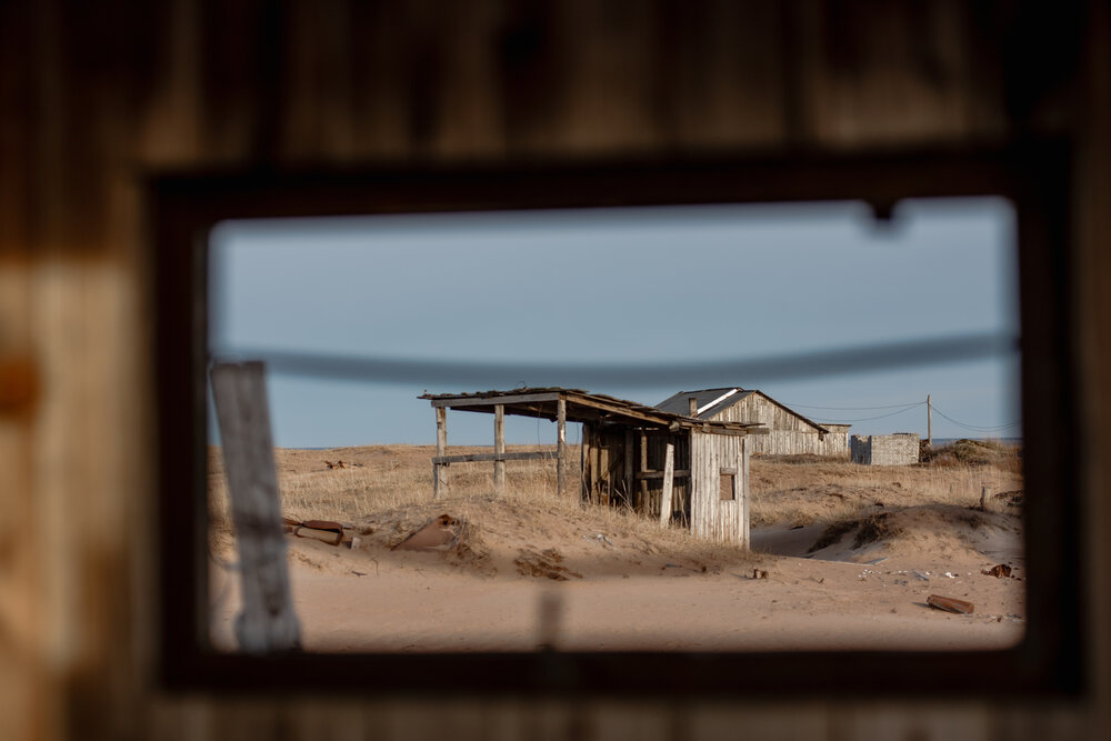 Photograph by Ксения Рябухина