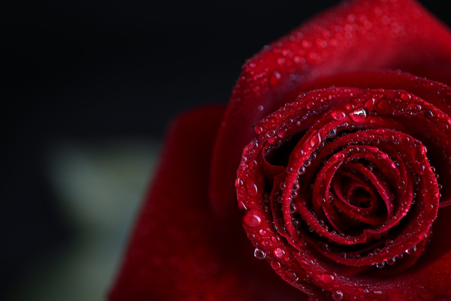 Photo #13874001