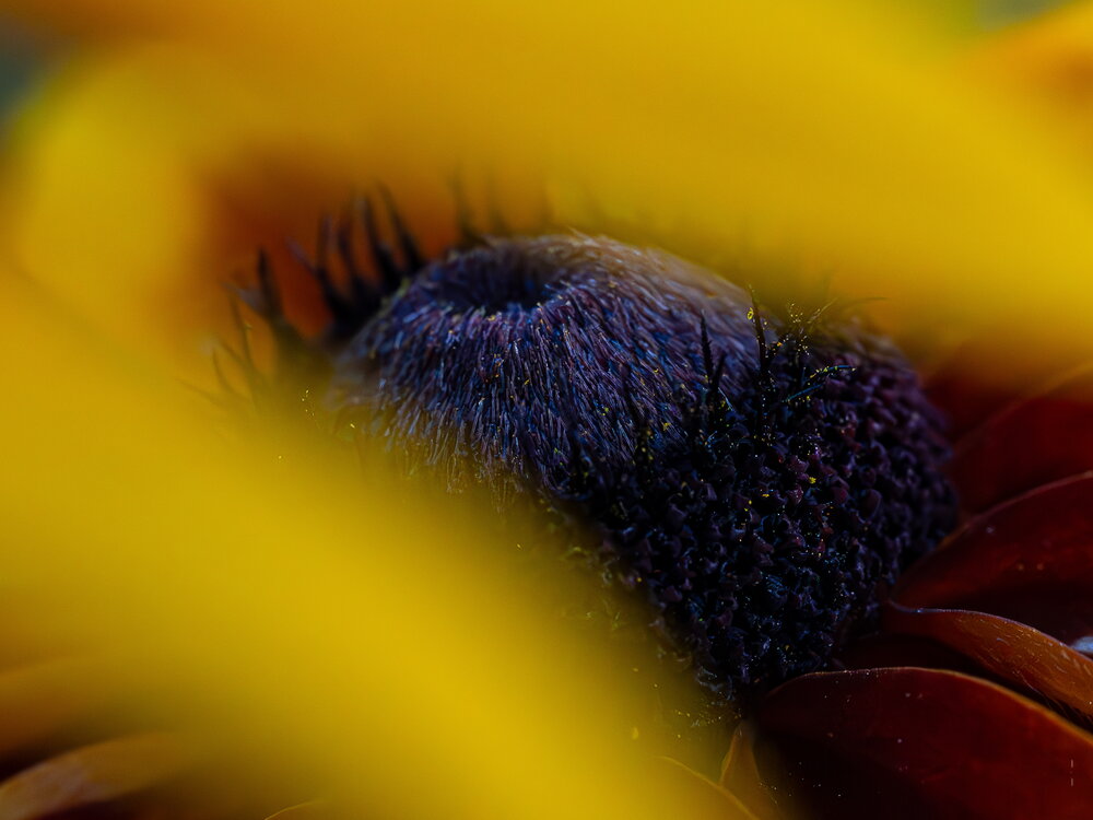 Photograph by sandra kruszynska