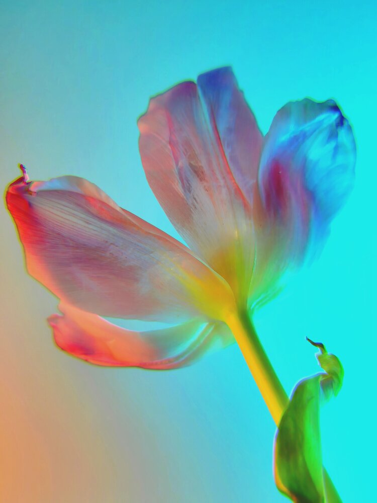 Photograph by Ирина Строкова