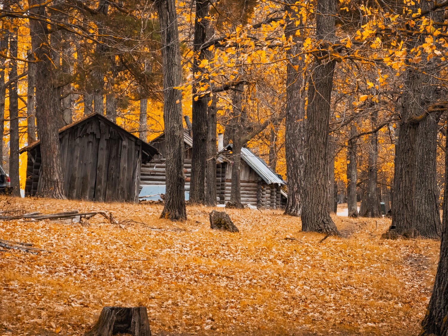 Photo #13874092