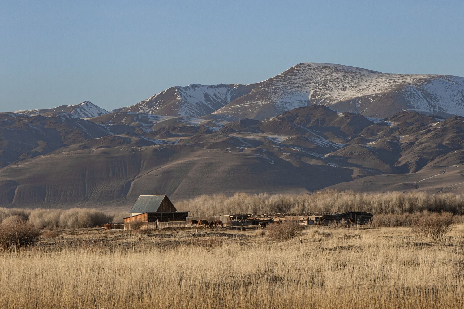 Photo #13874097