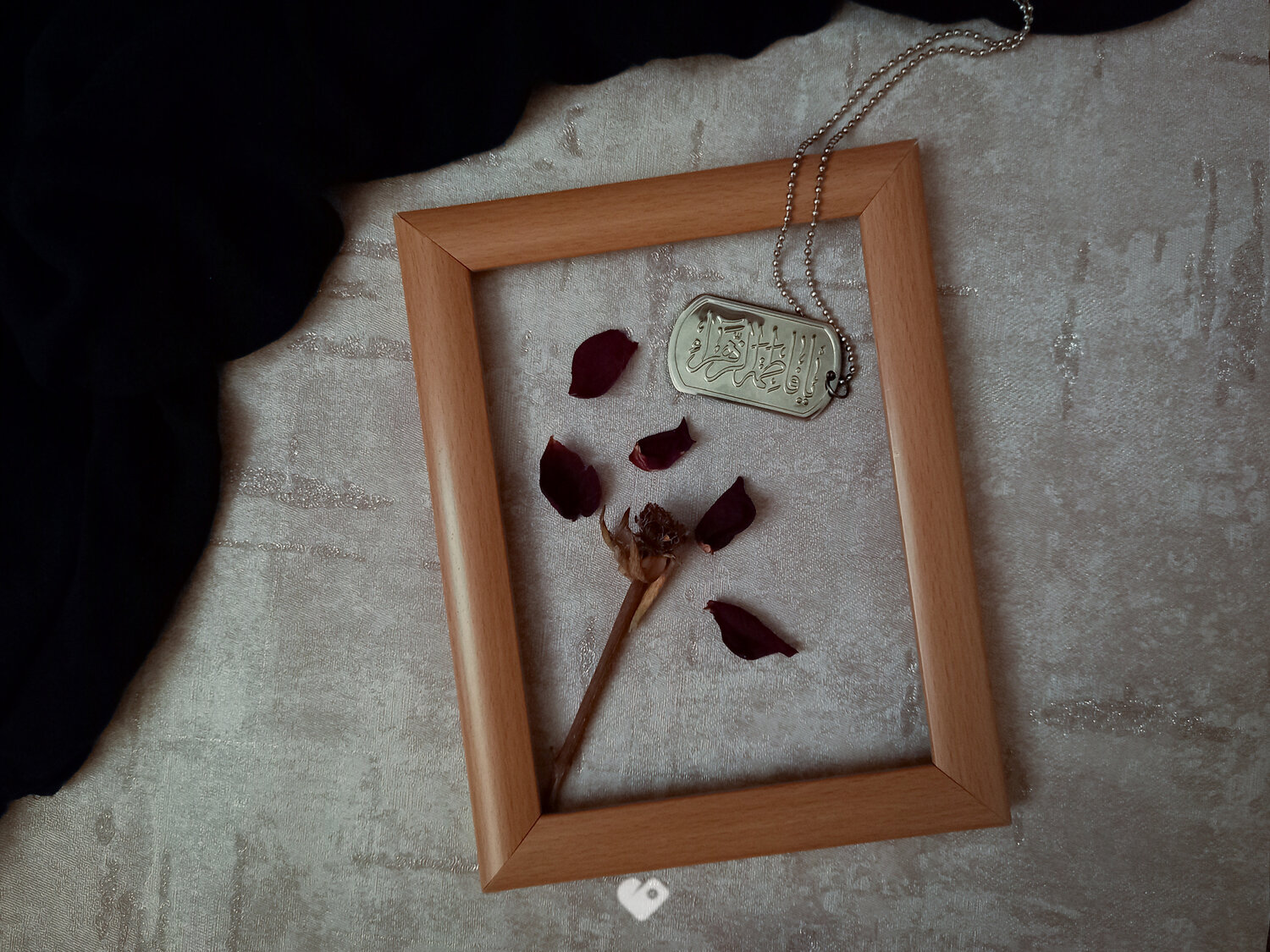 Photo #13874099