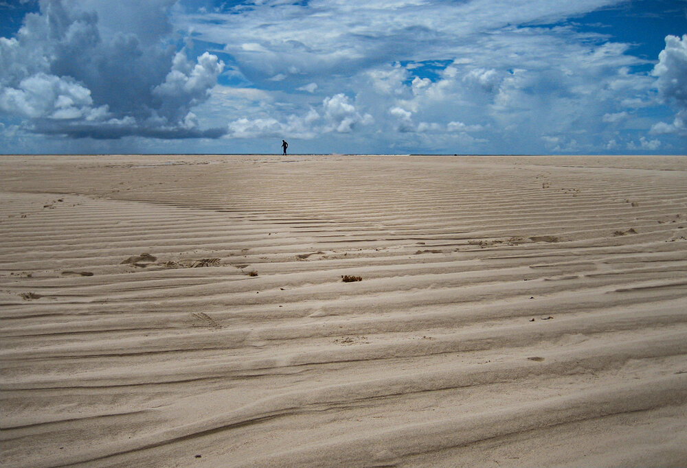 Photo #13874113
