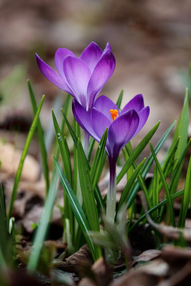 Photograph by Svetlana Zhilina