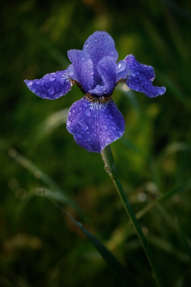 Photograph by Svetlana Zhilina