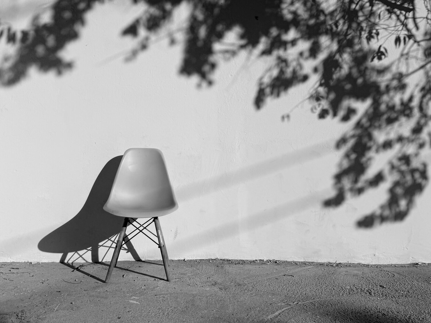 Photo #13874279