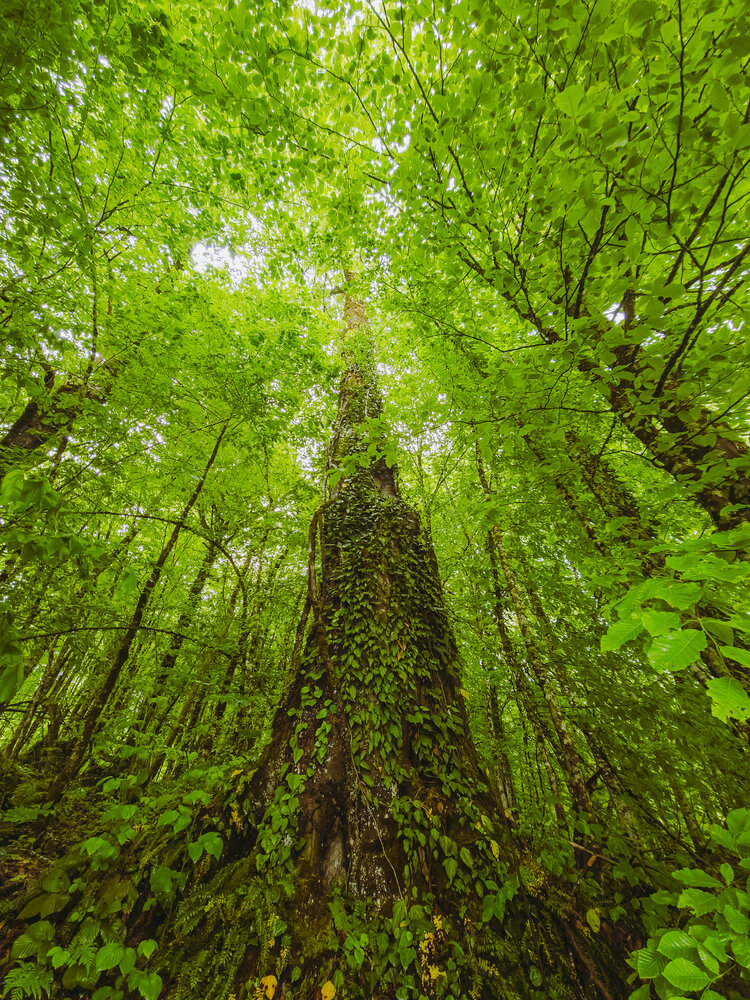 Photograph by Кабанов Игорь