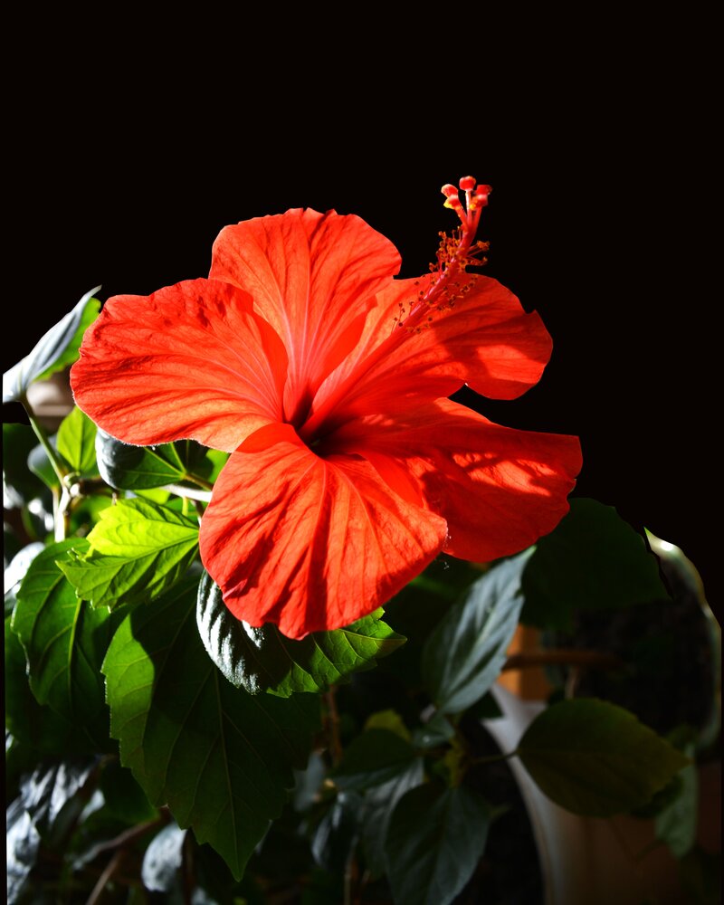 Photograph by Сергей Костин