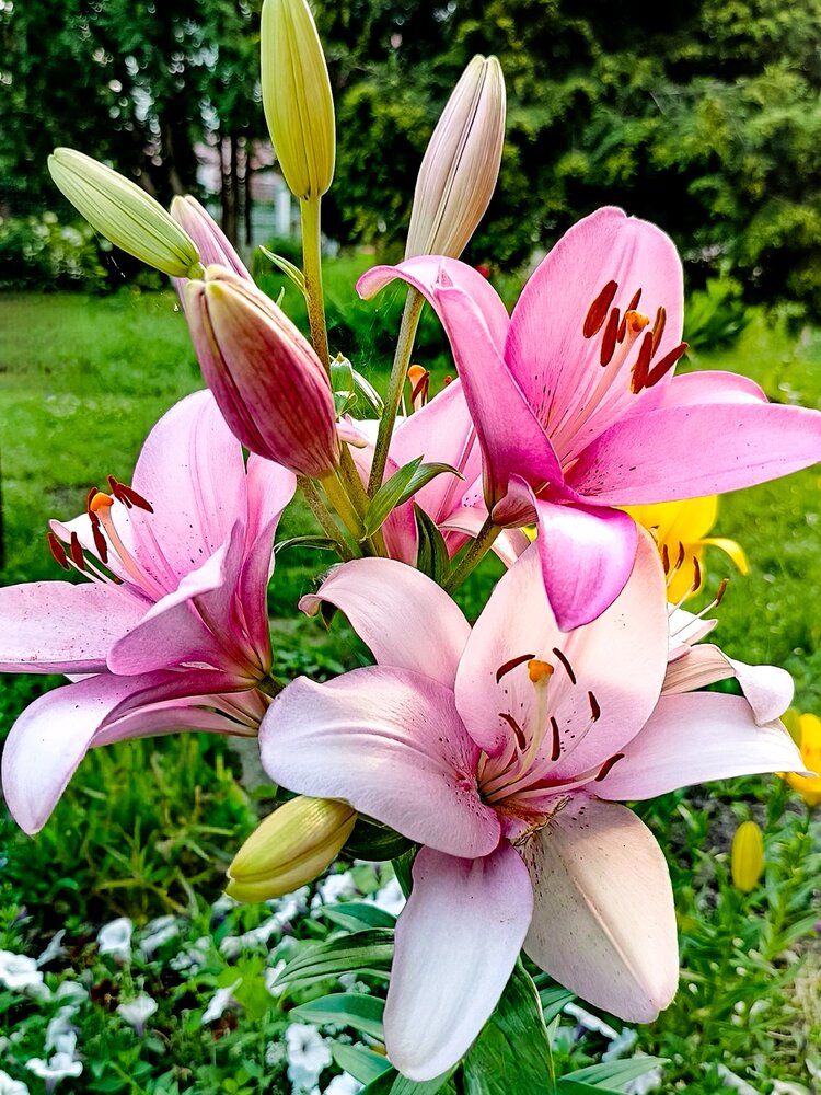 Photograph by Olga Samirhanova