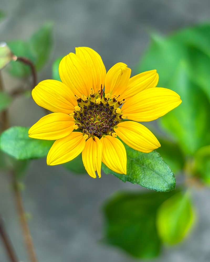 Photograph by Subhadip Banerjee Photography