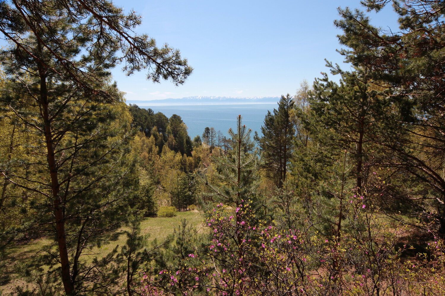 Photo #13874479