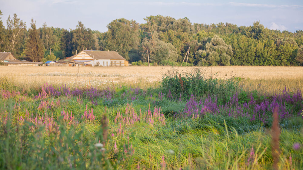 Photograph by Александр Оводов