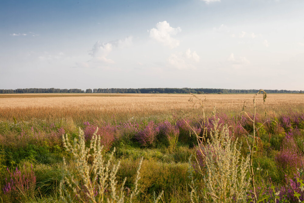 Photograph by Александр Оводов