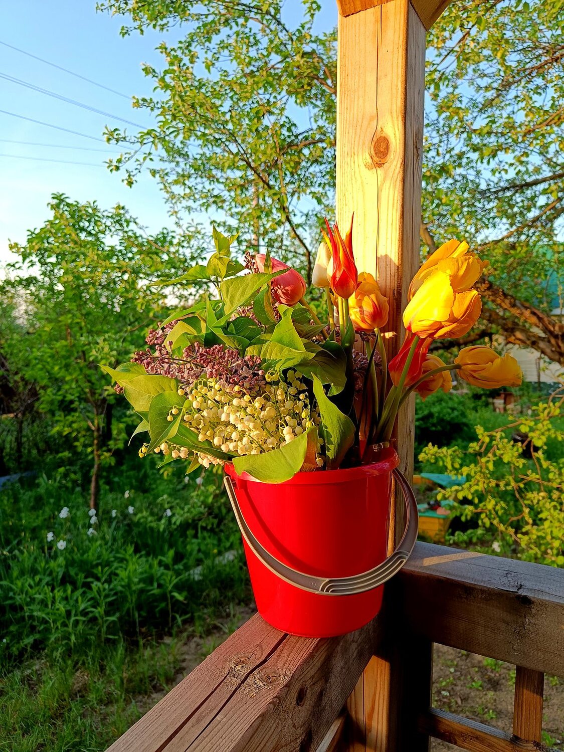 Photo #13874553