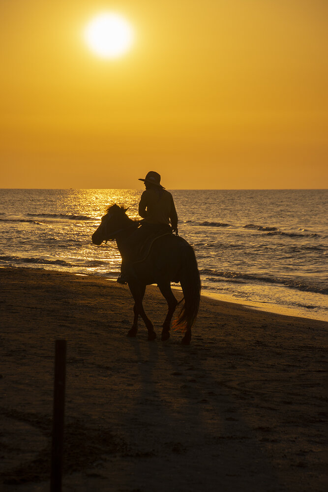 The Rider