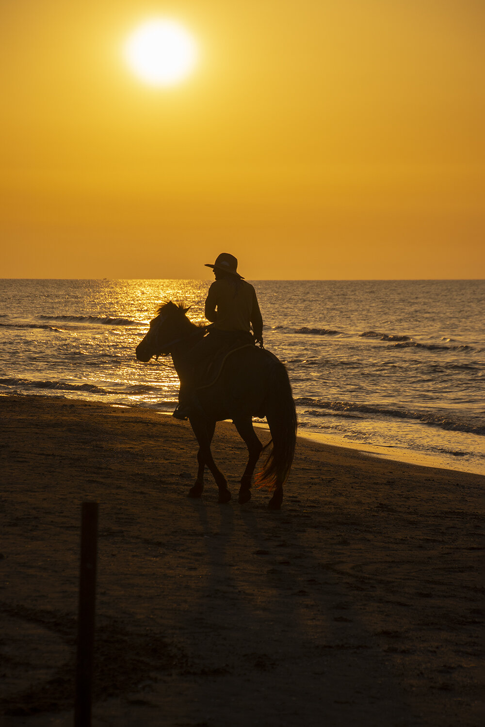 The Rider