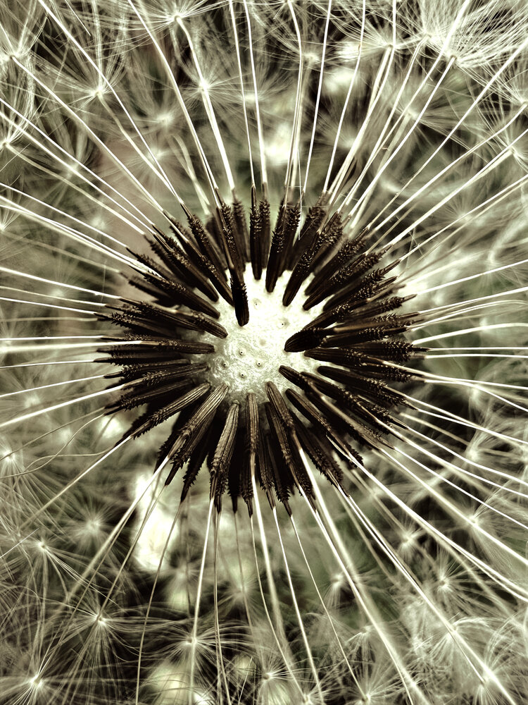 Photograph by Елена Чулюнина