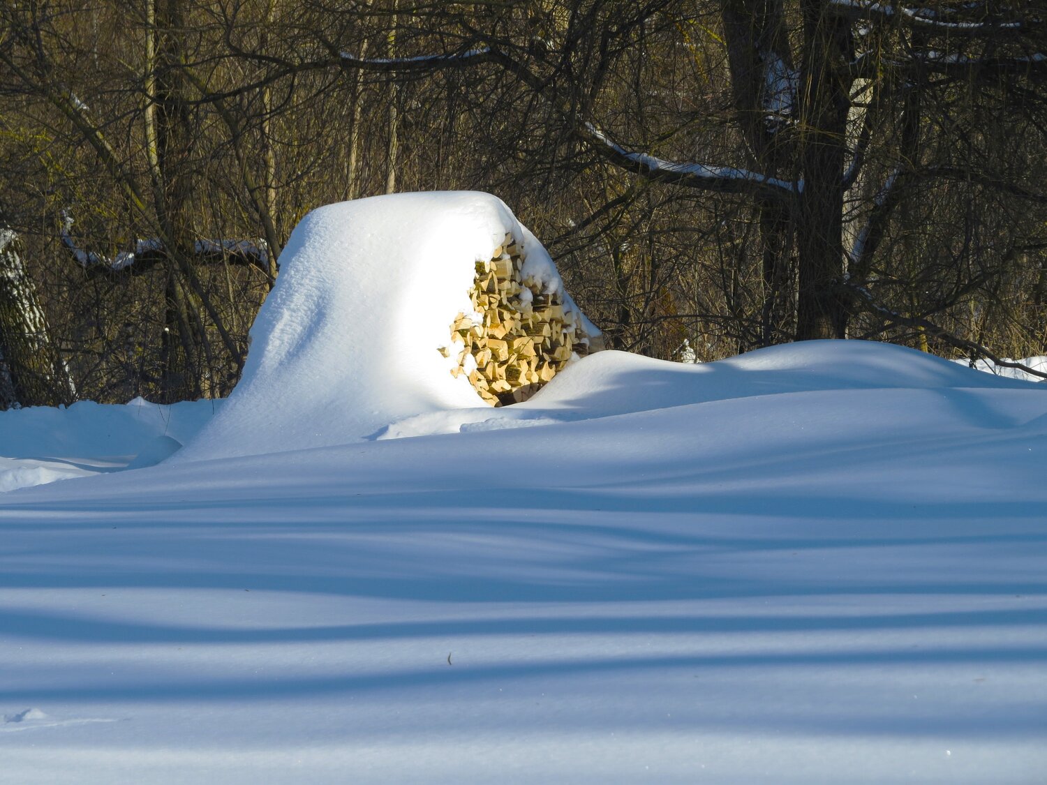 Photo #13874564