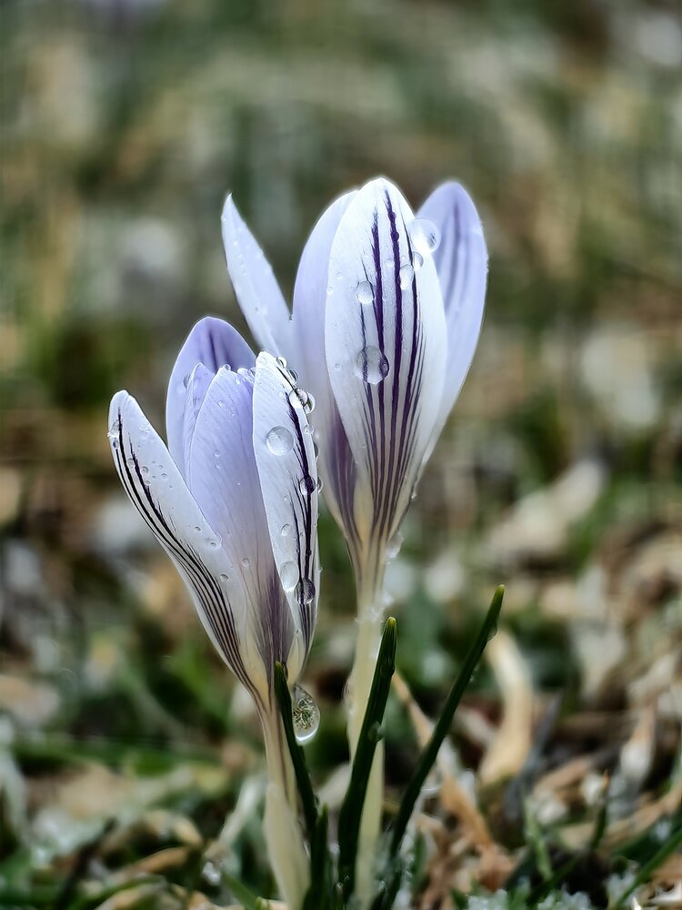 Photograph by Александр Лайпанов