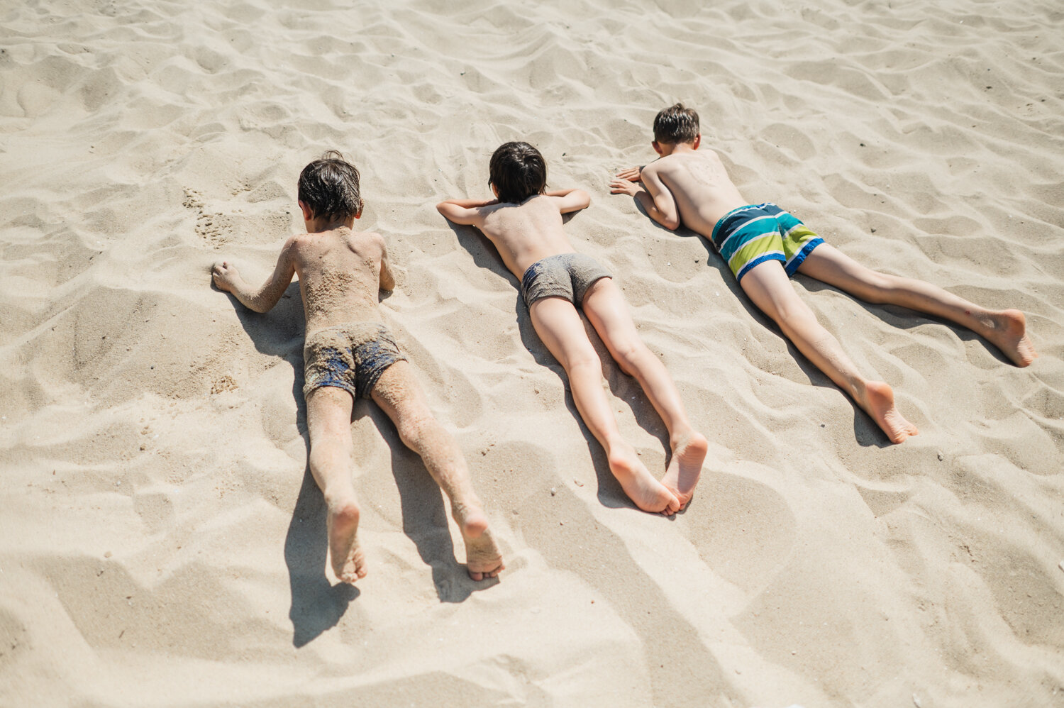 Photo #13874585
