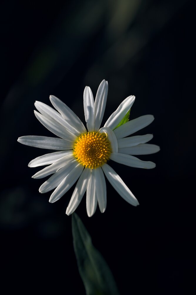 Photograph by Сущевский Сергей