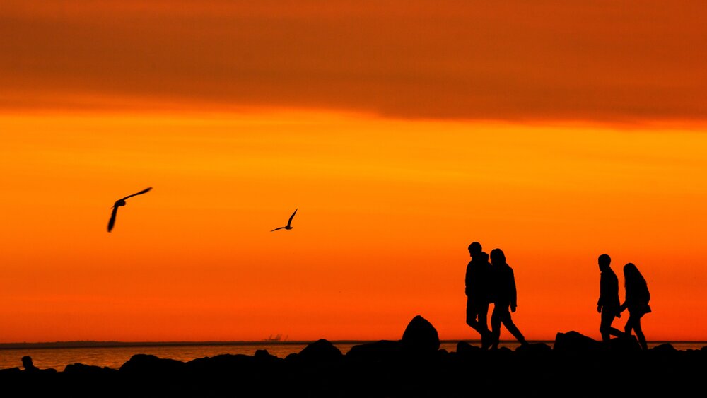 Photograph by Пчелкин Дмитрий