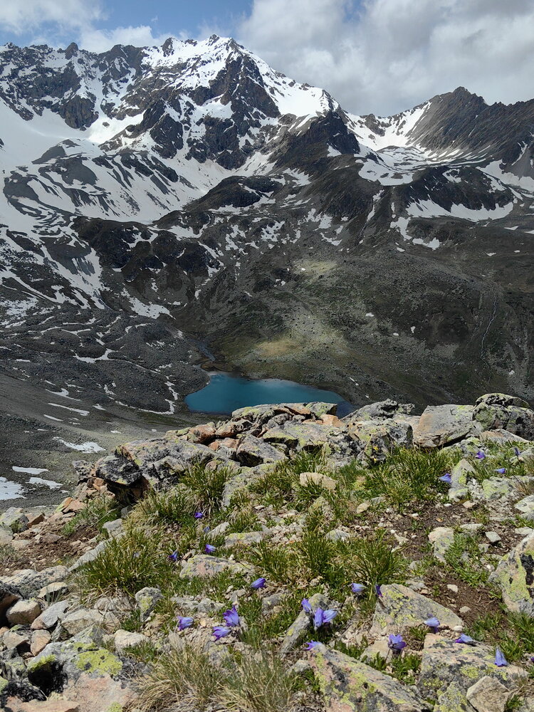 Photograph by Александр Лайпанов