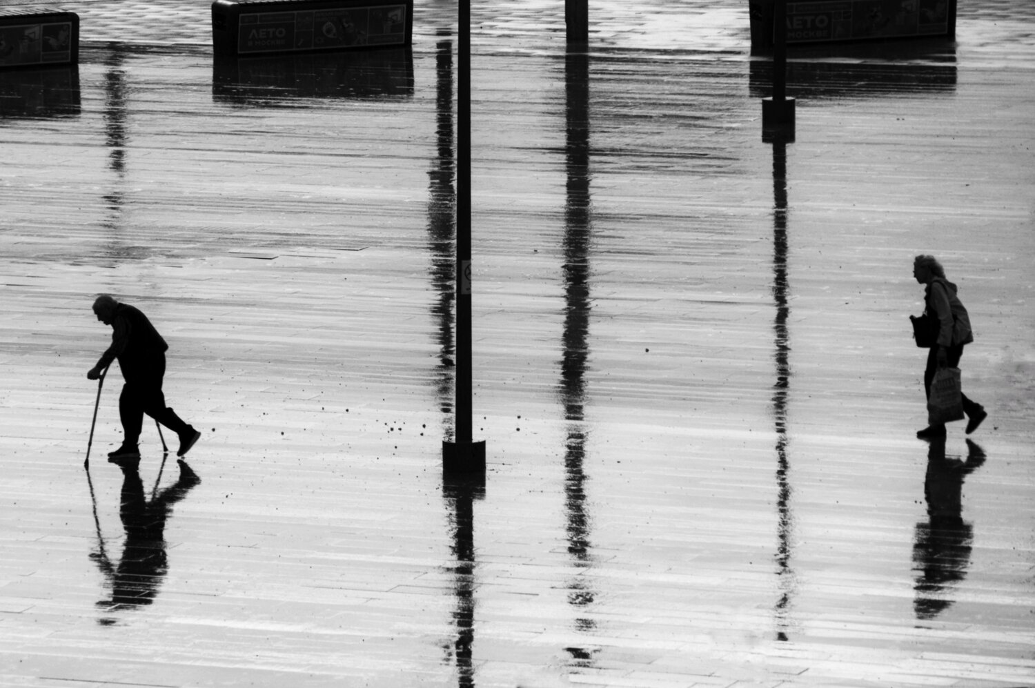 Photo #13874687