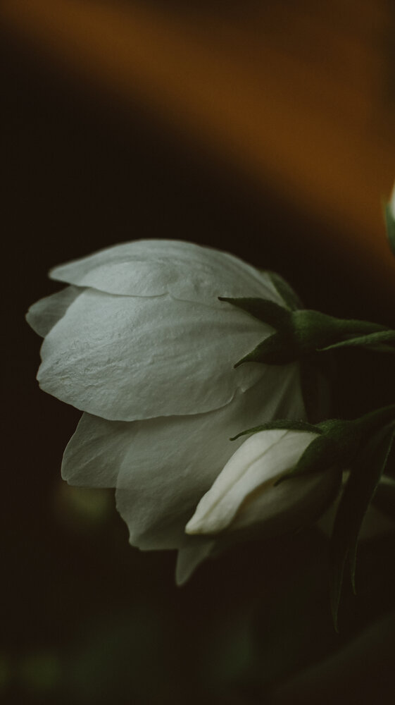 Photograph by Alisa Lisova