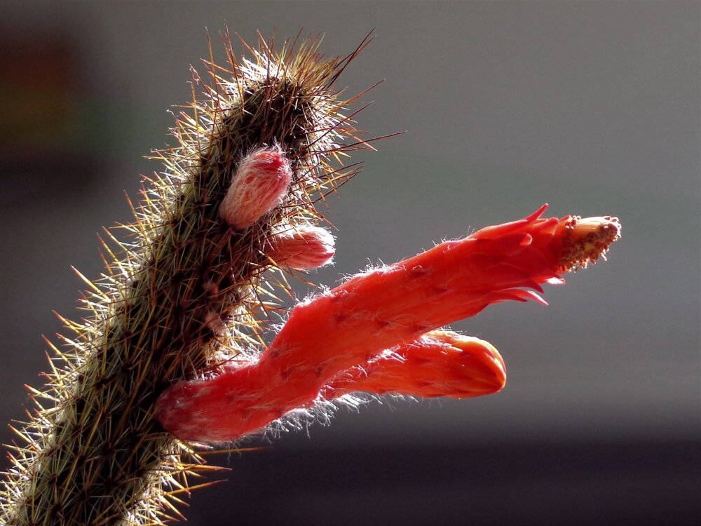 Photograph by Nosirjon Dekhkanov