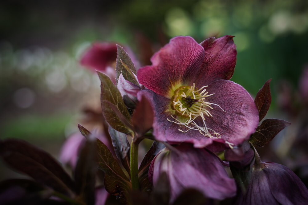 Photograph by Светлана Ващенко
