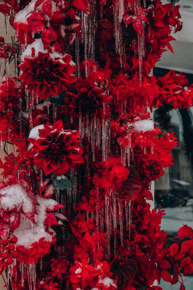 Photograph by Alisa Lisova