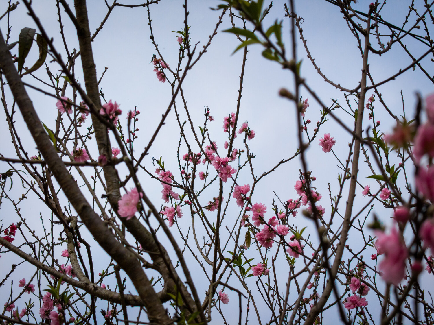 Photo #13874739