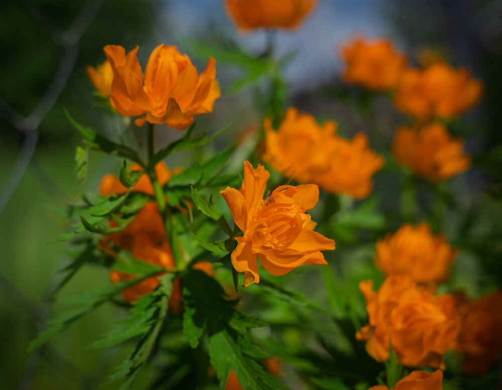 Photograph by Светлана Ващенко