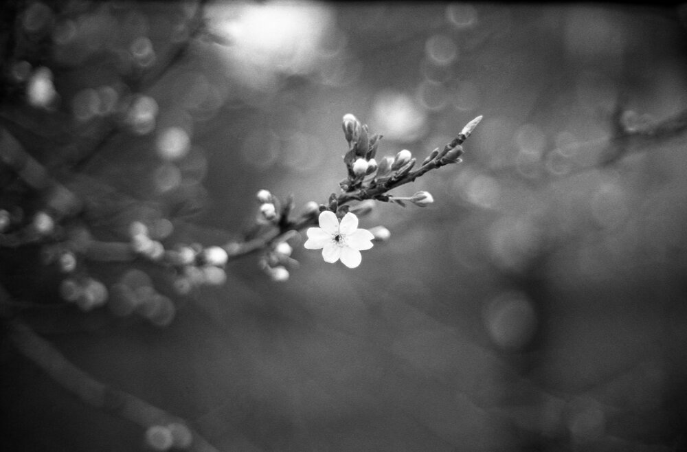 Photograph by Роман Ларшин