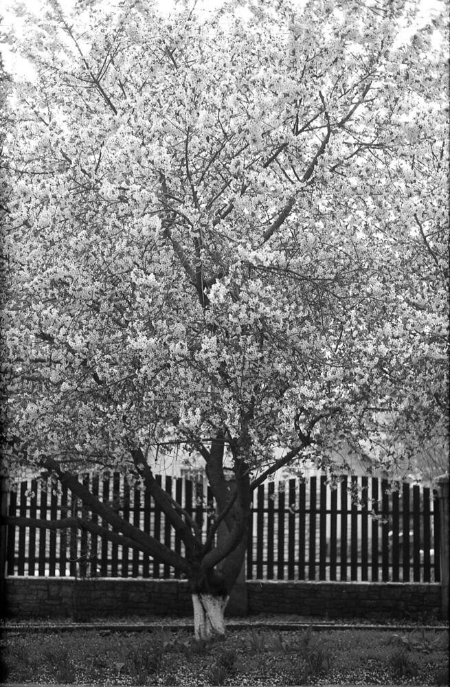 Photograph by Роман Ларшин