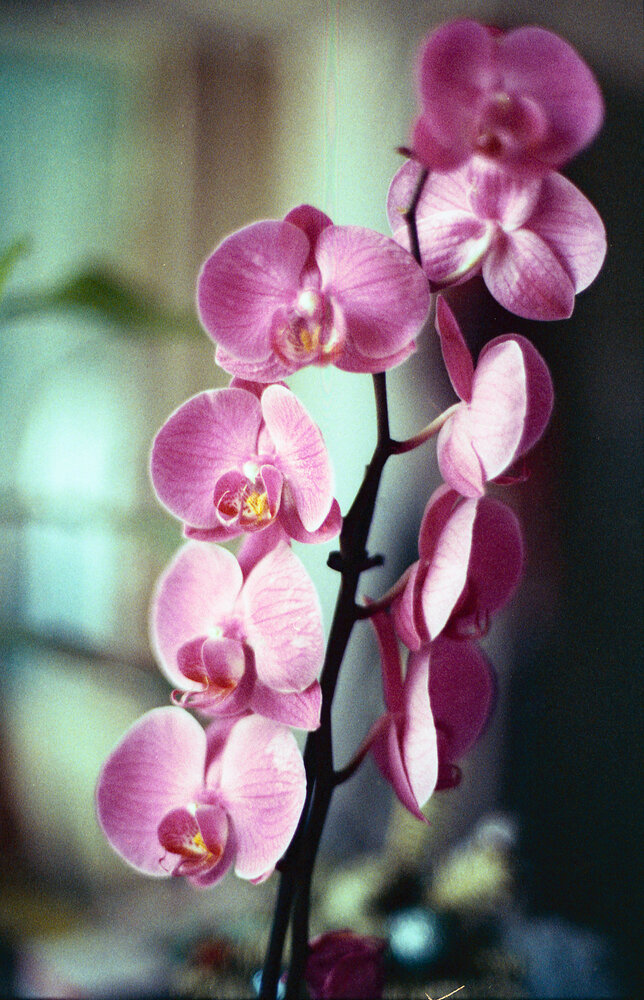 Photograph by Роман Ларшин